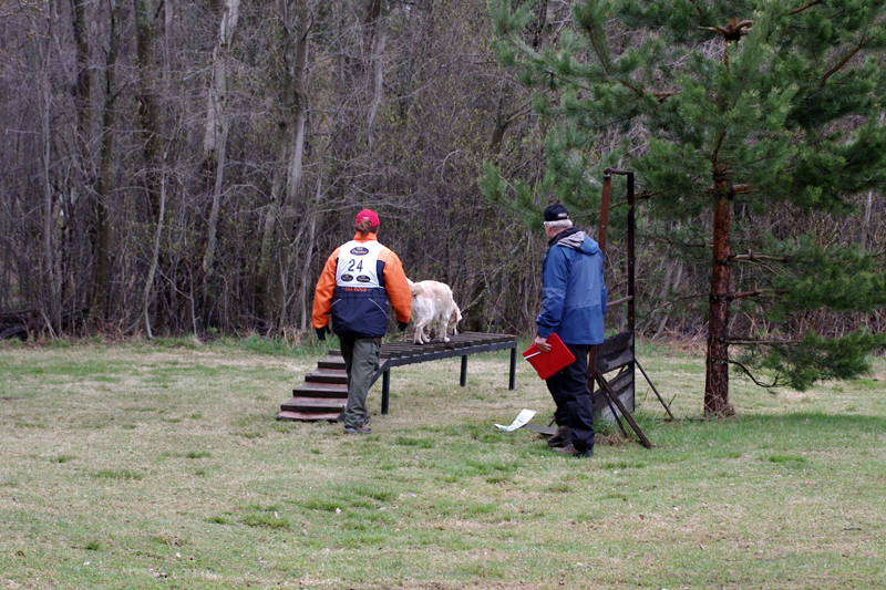 8.5.2010 228c.jpg